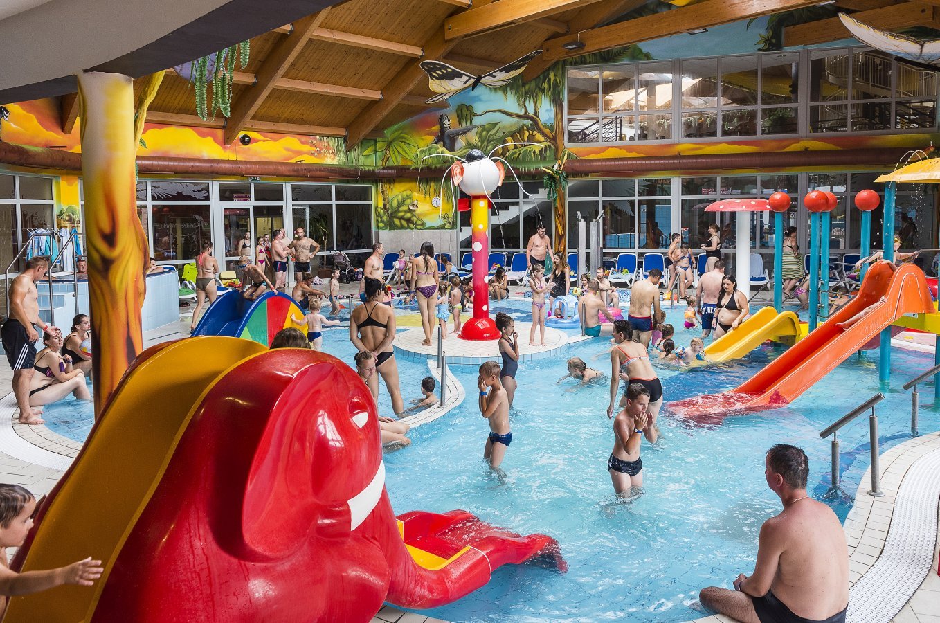 A nyári fürdőzés is számos veszélyt rejt