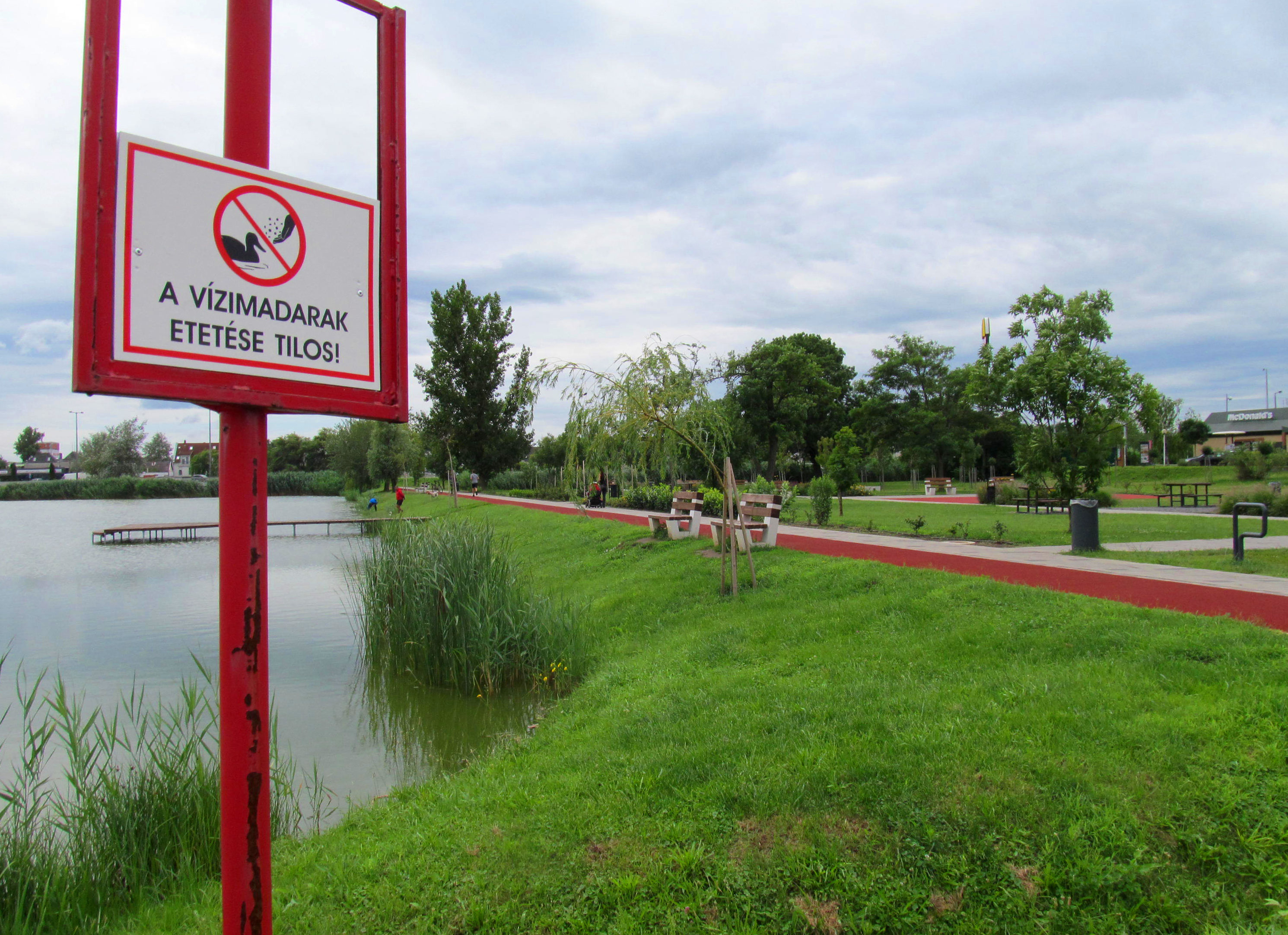 Tilos a vízimadarak etetése a Bujtoson, tábla figyelmeztet erre