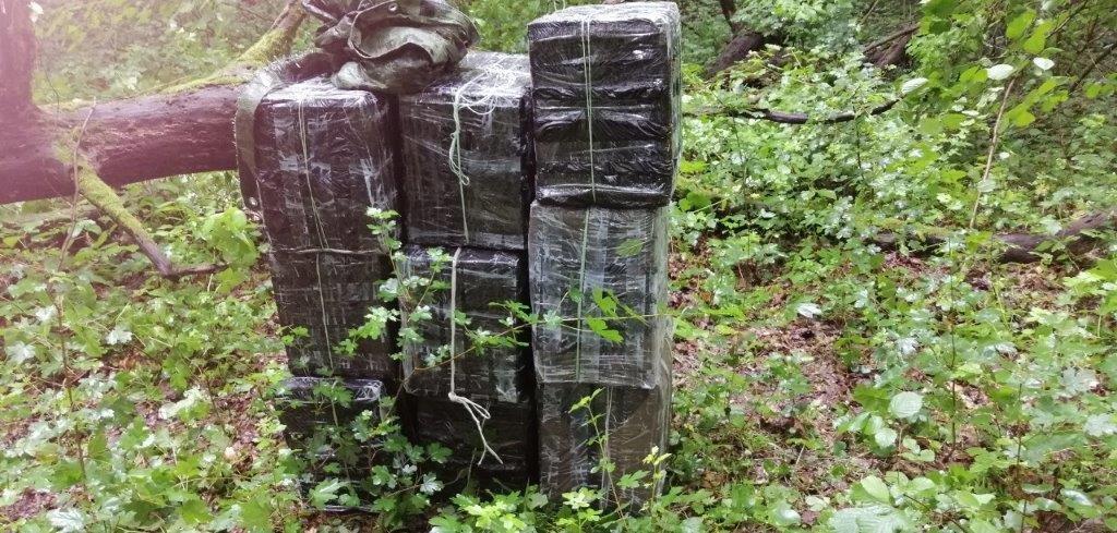 Nyolcmillió forintot érő cigi lapult a bokorban