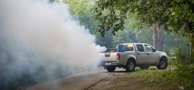 Szúnyoggyérítés hamarosan Nyíregyházán