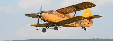 Újra lesz szúnyoggyérítés Nyíregyházán