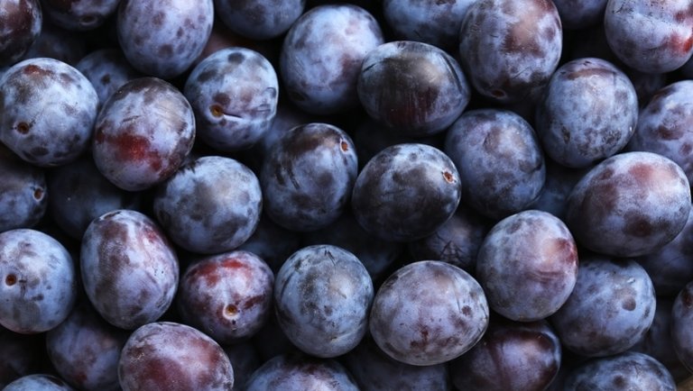 Nem igazán alakul jól az idei szilvatermés