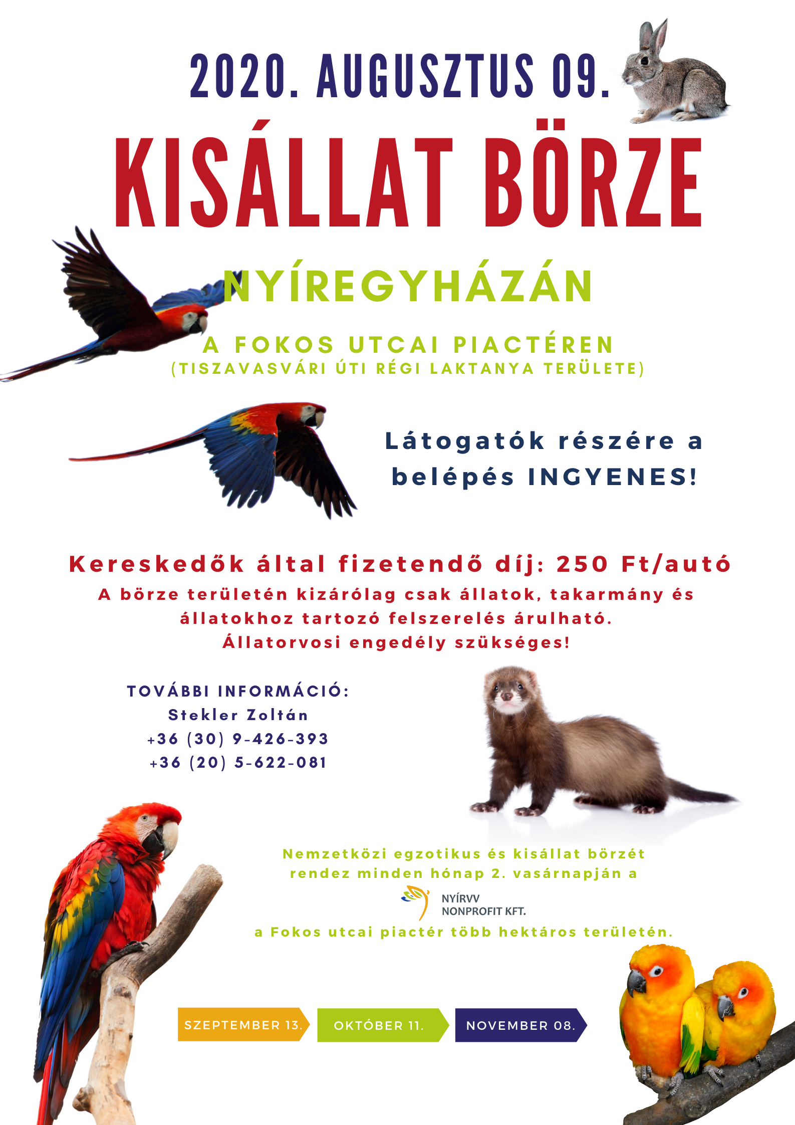  Kisállat Börze Nyíregyházán