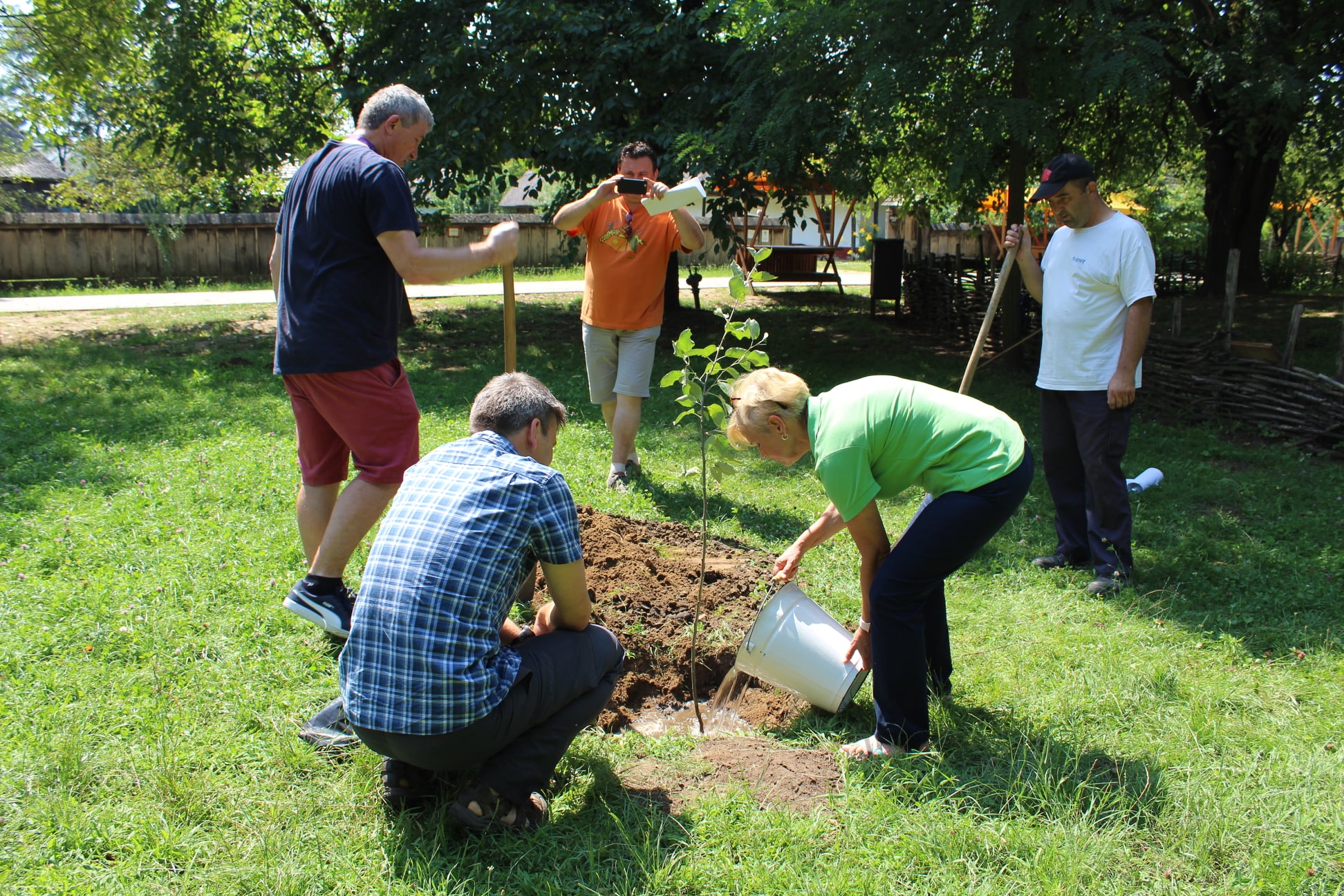 Nemzeti összetartozás fája a múzeumfaluban