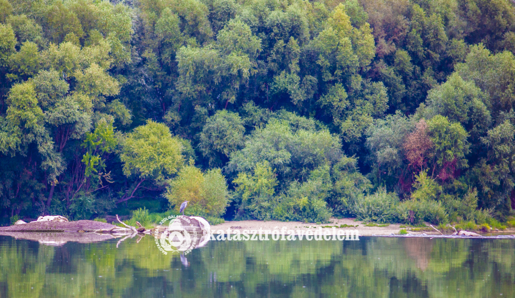 650 településen folytatódik a szúnyogirtás