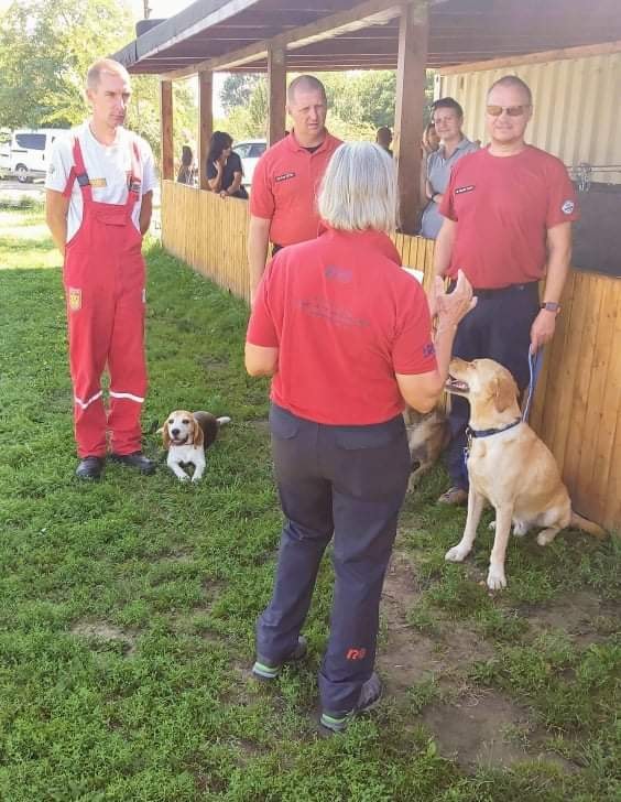 Nyíregyházi mentőkutyák is bizonyítottak Zsámbéknál