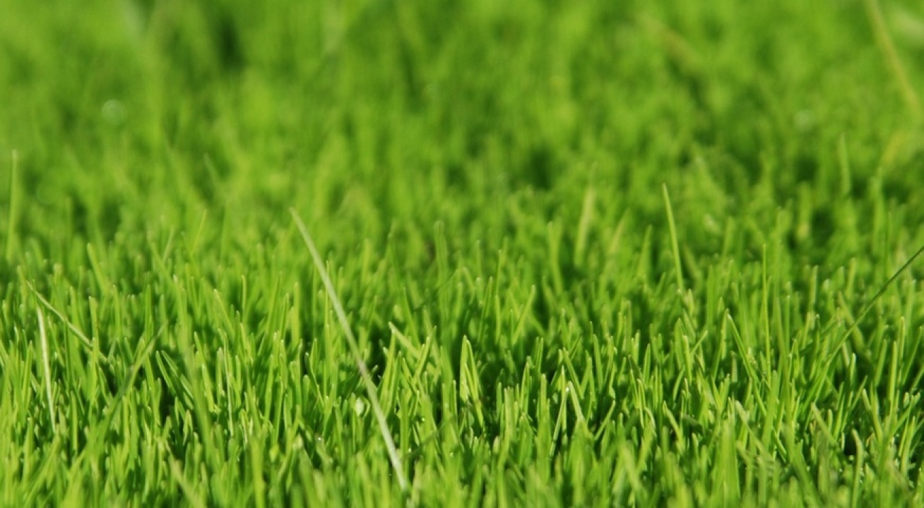 Fűmagot és termőföld-keveréket oszt a NYÍRVV