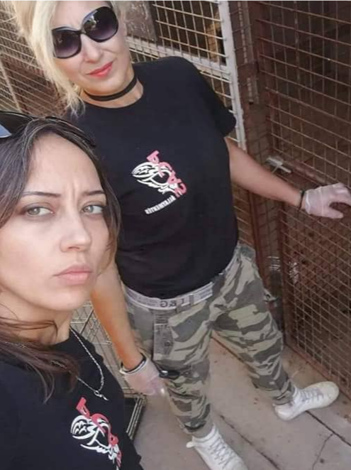 Aki a garázsvásáron vásárol, segítheti az állatmentőket