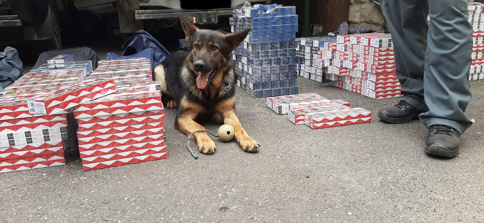 Cherry is benne volt a buliban