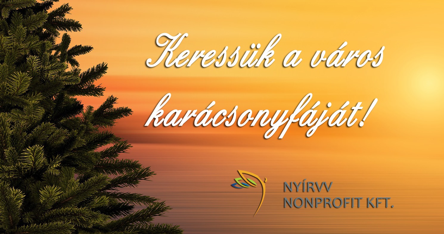 Keresik a város karácsonyfáját