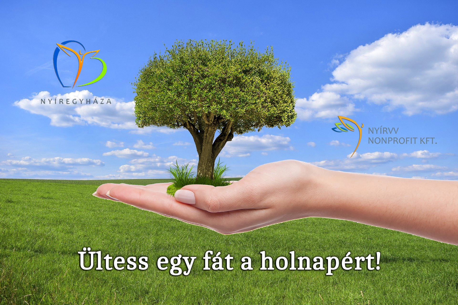 Tovább zöldül városunk