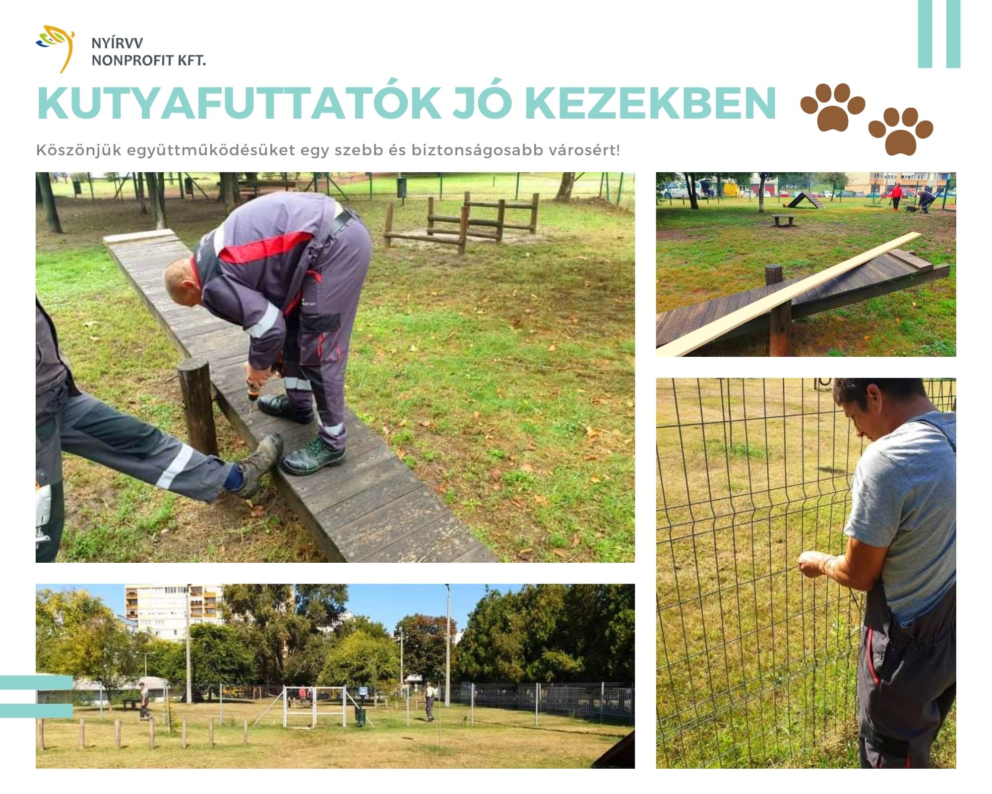 Kutyafuttatók jó kezekben