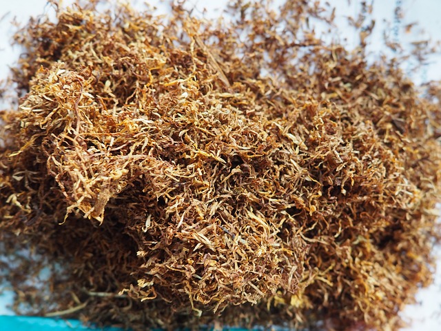 Rendszám nélküli kisbuszban szállította a dohányt