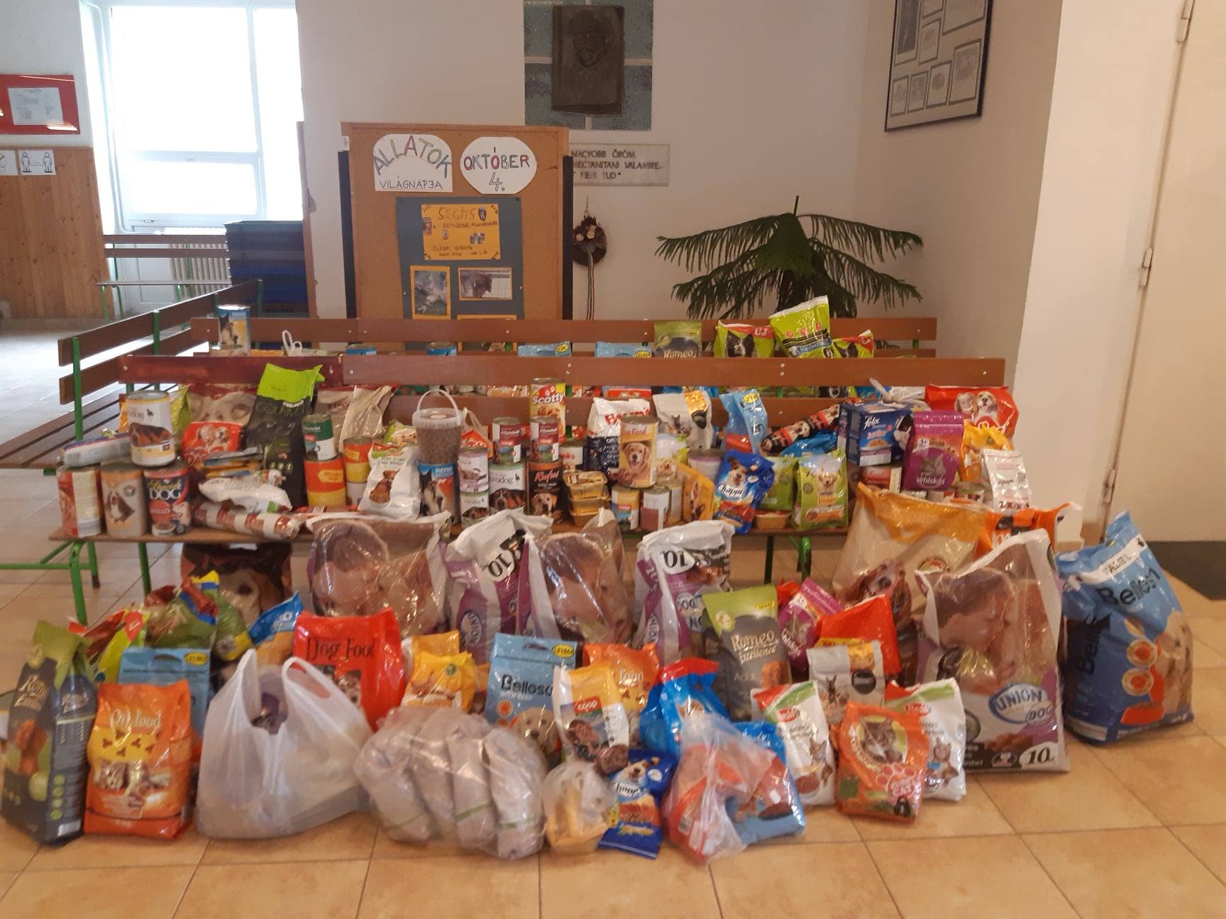  Árva állatoknak segítettek nyíregyházi iskolások