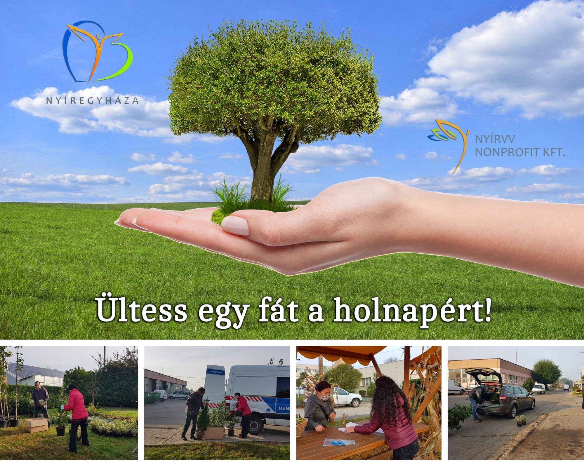 Több mint ezer zöld növényt kaptak a nyíregyháziak