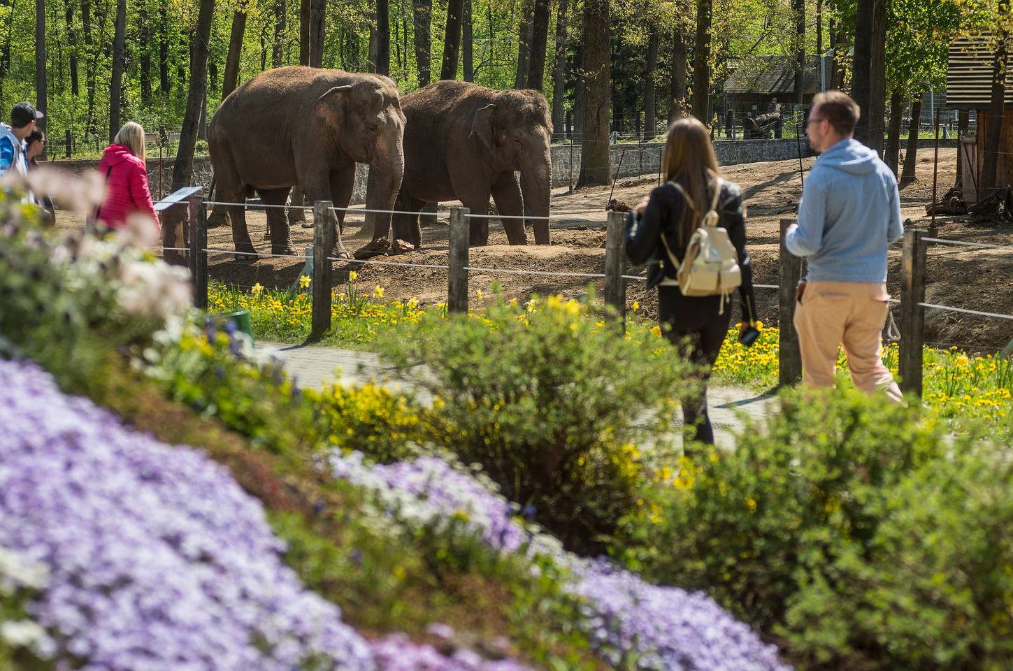 Várja a látogatók véleményét a Nyíregyházi Állatpark
