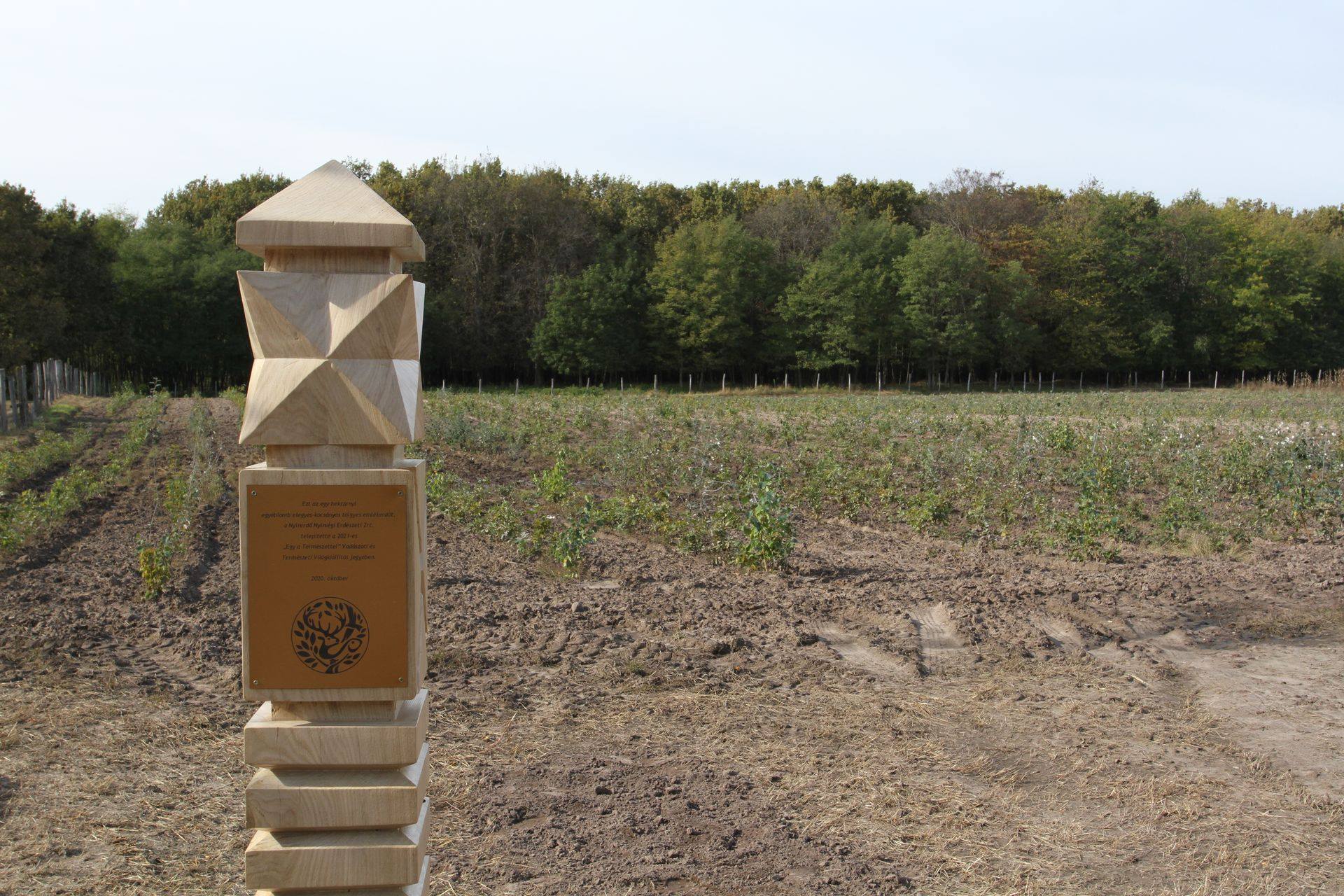 Emlékerdőt avattak a Nyírerdő gúthi erdészetében