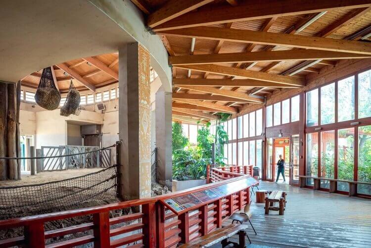 Karnyújtásnyira van tőlünk India Állatvilága