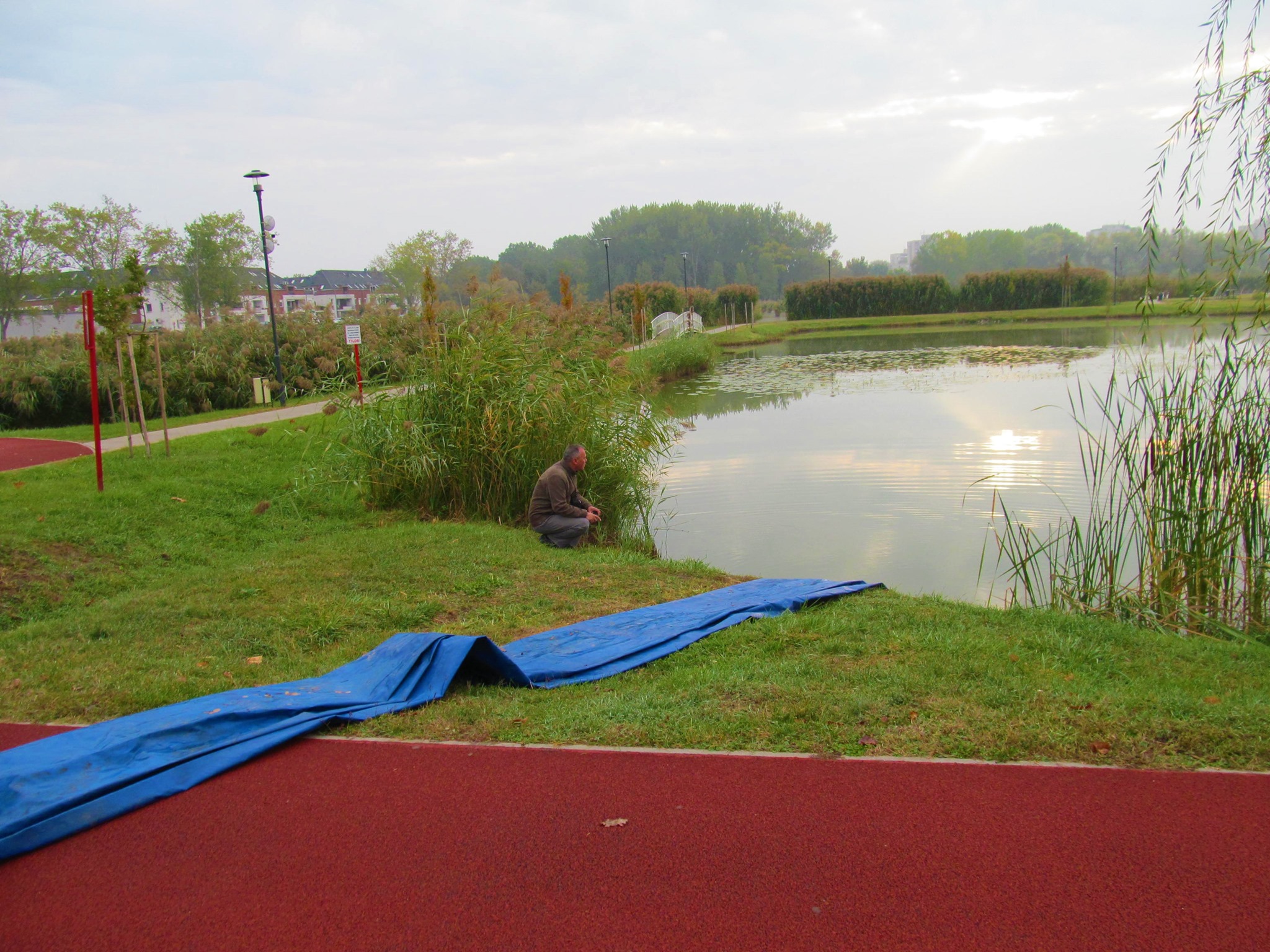 Több mint 1000 kg ponty került a Bujtosi-tóba