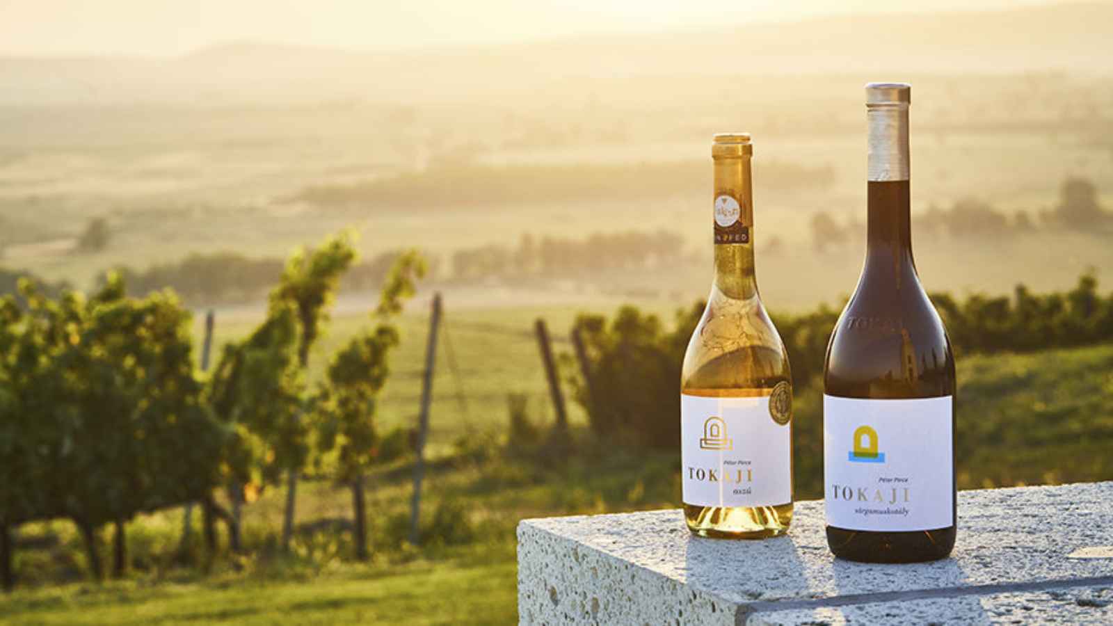 Megnyugtató eredmény a tokaji borvidéken
