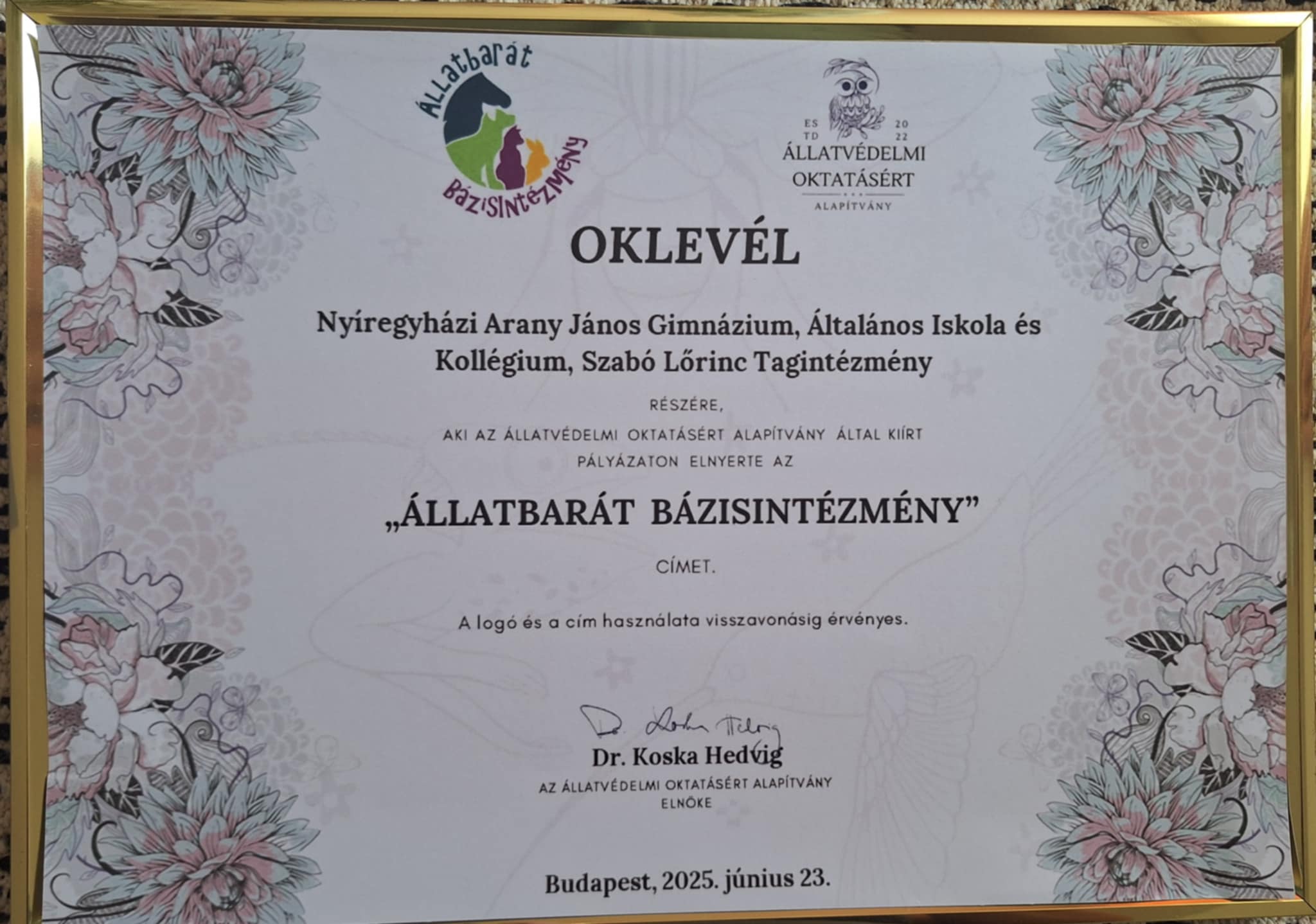 Állatvédelem és oktatás kéz a kézben – példamutató siker Nyíregyházán!