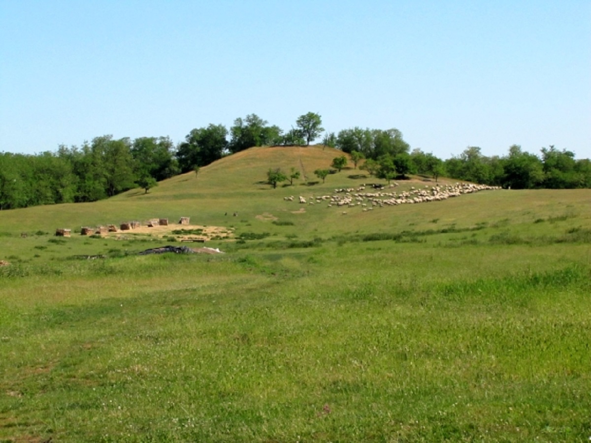 Ősi halom rejtőzik Nyíregyháza mellett, régebbi lehet, mint az egyiptomi piramisok