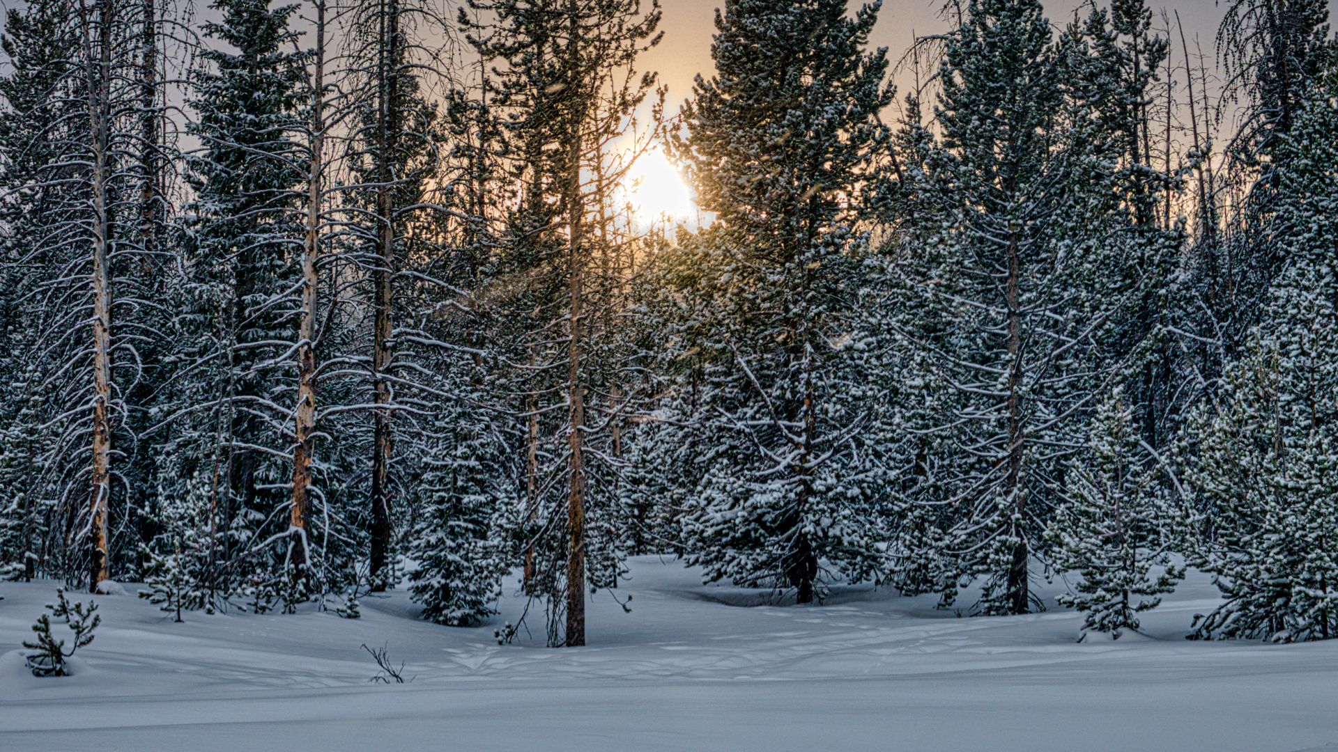 Kezdődik a havazás Magyarországon