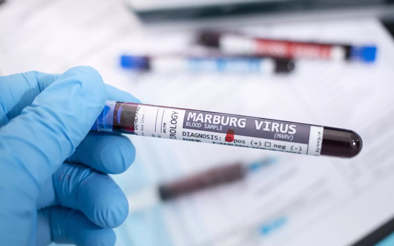 Veszélyes kór csapott le Hajdú-Biharban