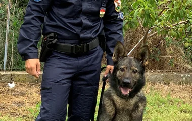 A rendőrök elfogták az ópályi betöréssel gyanúsítható fiatalokat