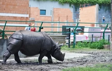 Épül az India-ház a Nyíregyházi Állatparkban