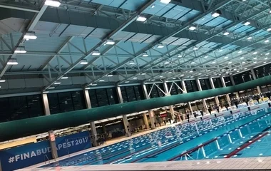 Benedek Tibor Arénára nevezné át a Duna Arénát több sportszerkesztőség