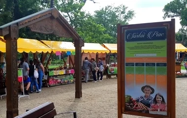 Ma is várja a vásárlókat a sóstói piac