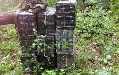 Nyolcmillió forintot érő cigi lapult a bokorban