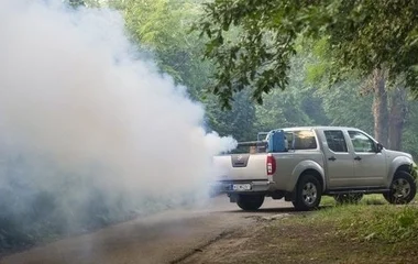 Szúnyoggyérítés hamarosan Nyíregyházán