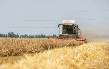 Akadozik a betakarítás a megyében