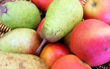 Nagyon kevés alma és körte terem idén