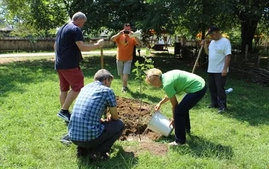 Nemzeti összetartozás fája a múzeumfaluban