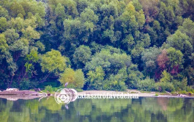 650 településen folytatódik a szúnyogirtás