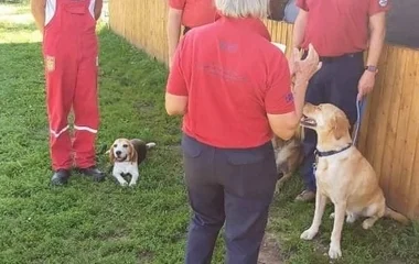 Nyíregyházi mentőkutyák is bizonyítottak Zsámbéknál