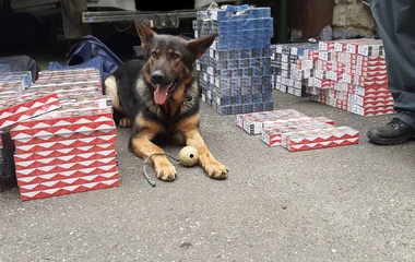 Cherry is benne volt a buliban