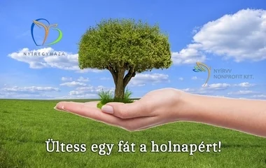 Tovább zöldül városunk