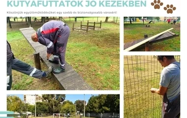 Kutyafuttatók jó kezekben