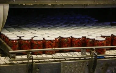 Megindult a termelés a nyírmihálydi konzervgyárban