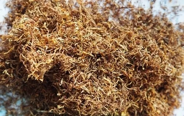  Illegális dohányfeldolgozó üzemre bukkantak a pénzügyőrök