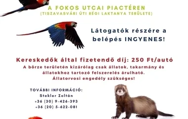 Most vasárnap is lesz Kisállat börze Nyíregyházán