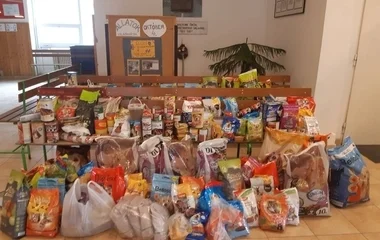  Árva állatoknak segítettek nyíregyházi iskolások