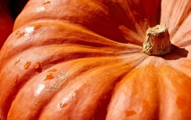 Évente 30-35 ezer tonna sütőtök terem az országban