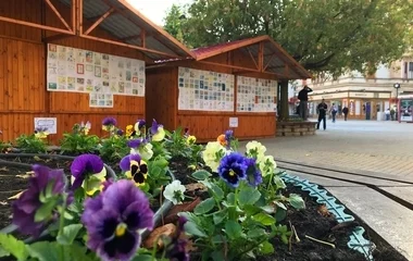 Gyerekrajzok díszítik a Kossuth teret