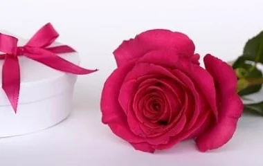 Zaklatásért felel a bíróságon egy nyíregyházi férfi