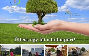 Több mint ezer zöld növényt kaptak a nyíregyháziak